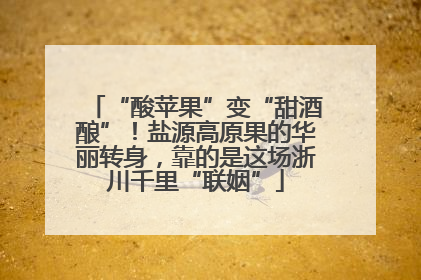 “酸苹果”变“甜酒酿”！盐源高原果的华丽转身，靠的是这场浙川千里“联姻”