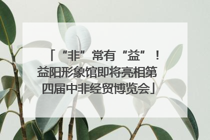 “非”常有“益”！益阳形象馆即将亮相第四届中非经贸博览会