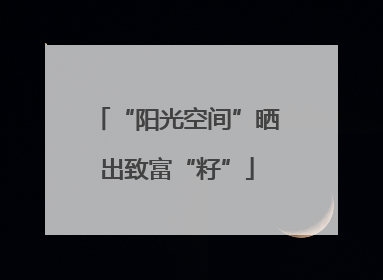 “阳光空间”晒出致富“籽”