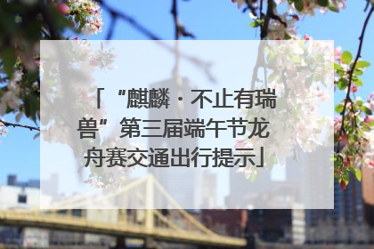 “麒麟・不止有瑞兽”第三届端午节龙舟赛交通出行提示