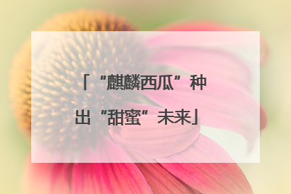 “麒麟西瓜”种出“甜蜜”未来