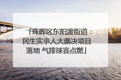 珠晖区东阳渡街道：民生实事人大票决项目落地 气排球赛点燃