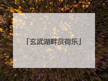 玄武湖畔赏荷乐
