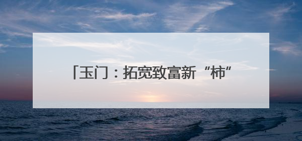 玉门：拓宽致富新“柿”路 挂“果”丰收笑满颜