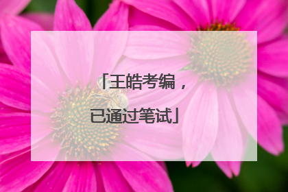 王皓考编，已通过笔试