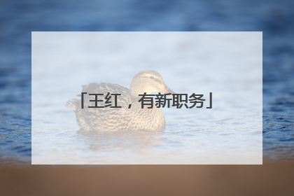 王红，有新职务