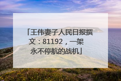 王伟妻子人民日报撰文：81192，一架永不停航的战机