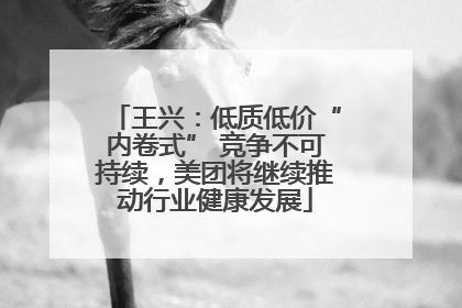 王兴：低质低价“内卷式” 竞争不可持续，美团将继续推动行业健康发展