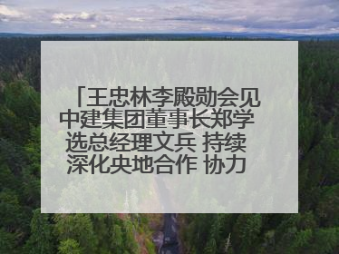 王忠林李殿勋会见中建集团董事长郑学选总经理文兵 持续深化央地合作 协力推动支点建设