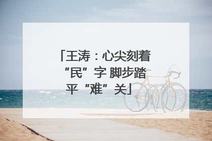 王涛：心尖刻着“民”字 脚步踏平“难”关