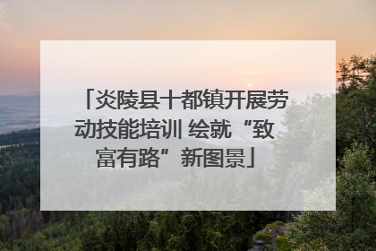 炎陵县十都镇开展劳动技能培训 绘就“致富有路”新图景