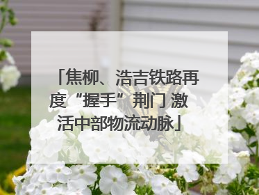 焦柳、浩吉铁路再度“握手”荆门 激活中部物流动脉