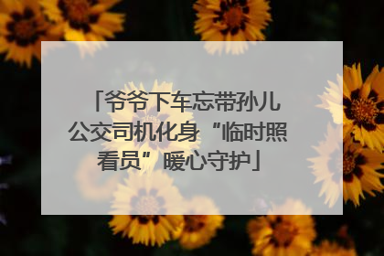 爷爷下车忘带孙儿 公交司机化身“临时照看员”暖心守护