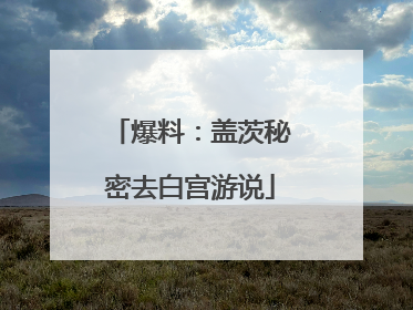 爆料：盖茨秘密去白宫游说