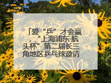 爱“乒”才会赢，“上海浦东·航头杯”第二届长三角地区乒乓球邀请赛举行