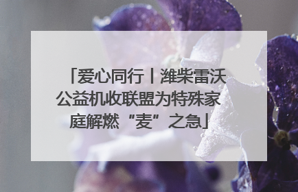 爱心同行丨潍柴雷沃公益机收联盟为特殊家庭解燃“麦”之急