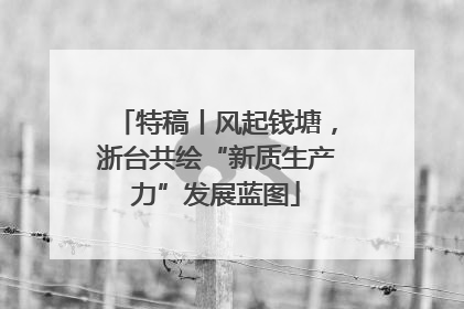 特稿丨风起钱塘，浙台共绘“新质生产力”发展蓝图
