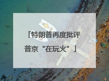 特朗普再度批评普京“在玩火”