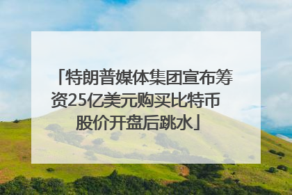 特朗普媒体集团宣布筹资25亿美元购买比特币 股价开盘后跳水
