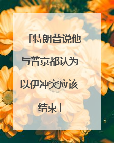 特朗普说他与普京都认为以伊冲突应该结束