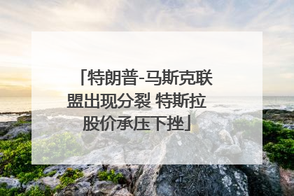 特朗普-马斯克联盟出现分裂 特斯拉股价承压下挫