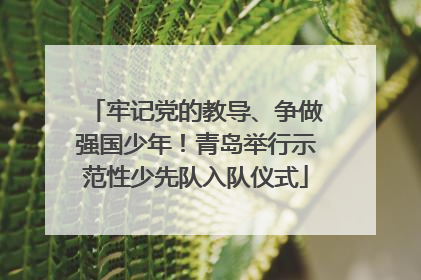 牢记党的教导、争做强国少年！青岛举行示范性少先队入队仪式
