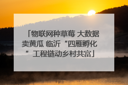 物联网种草莓 大数据卖黄瓜 临沂“四雁孵化”工程链动乡村共富
