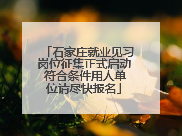 石家庄就业见习岗位征集正式启动 符合条件用人单位请尽快报名