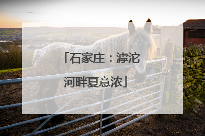 石家庄：滹沱河畔夏意浓