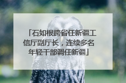 石如根跨省任新疆工信厅副厅长，连续多名年轻干部调任新疆