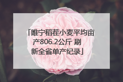 睢宁稻茬小麦平均亩产806.2公斤 刷新全省单产纪录