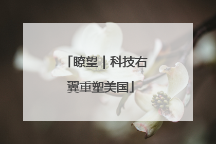 瞭望｜科技右翼重塑美国