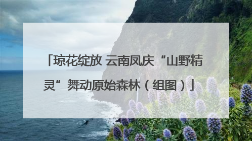琼花绽放 云南凤庆“山野精灵”舞动原始森林（组图）