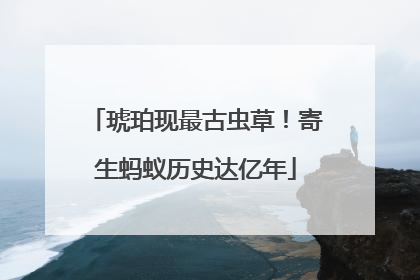 琥珀现最古虫草！寄生蚂蚁历史达亿年