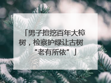 男子擅挖百年大樟树，检察护绿让古树“老有所依”