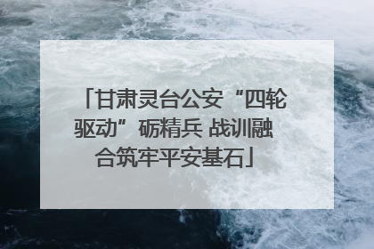 甘肃灵台公安“四轮驱动”砺精兵 战训融合筑牢平安基石