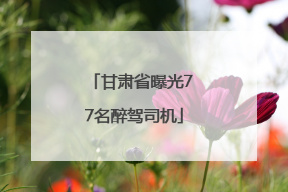 甘肃省曝光77名醉驾司机