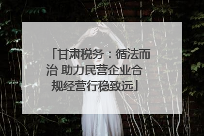 甘肃税务：循法而治 助力民营企业合规经营行稳致远
