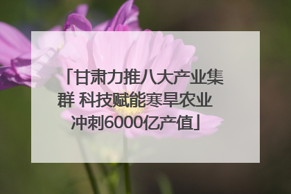 甘肃力推八大产业集群 科技赋能寒旱农业冲刺6000亿产值