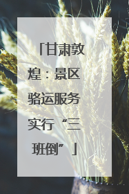 甘肃敦煌：景区骆运服务实行“三班倒”