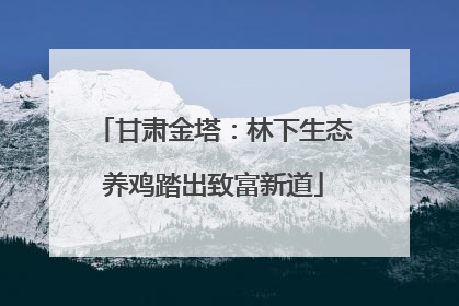 甘肃金塔：林下生态养鸡踏出致富新道
