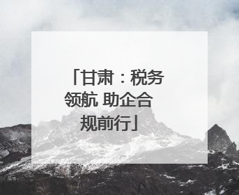 甘肃：税务领航 助企合规前行