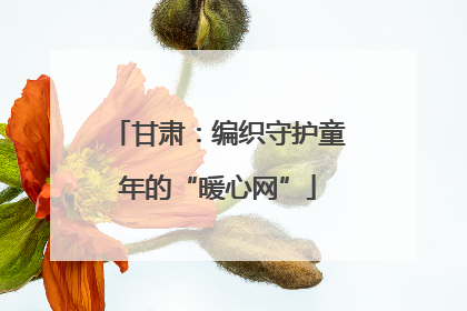 甘肃：编织守护童年的“暖心网”