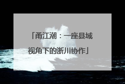 甬江潮：一座县域视角下的浙川协作