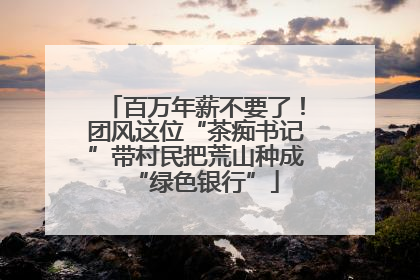 百万年薪不要了！团风这位“茶痴书记”带村民把荒山种成“绿色银行”