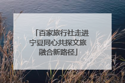 百家旅行社走进宁夏同心共探文旅融合新路径