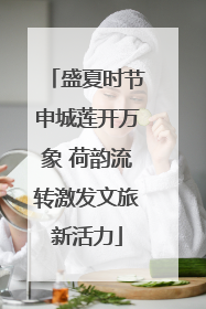 盛夏时节申城莲开万象 荷韵流转激发文旅新活力