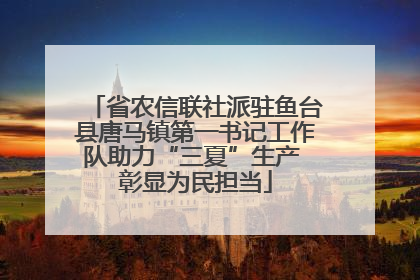 省农信联社派驻鱼台县唐马镇第一书记工作队助力“三夏”生产 彰显为民担当