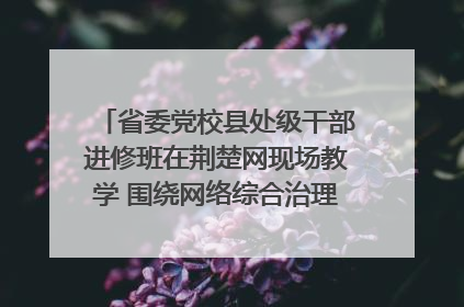 省委党校县处级干部进修班在荆楚网现场教学 围绕网络综合治理工作展开交流