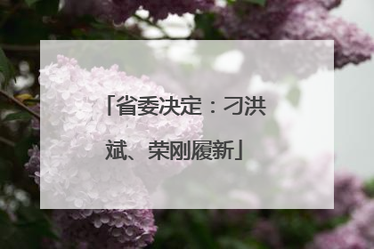 省委决定：刁洪斌、荣刚履新